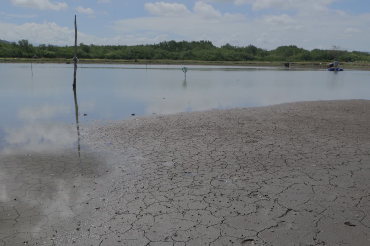 Mundo