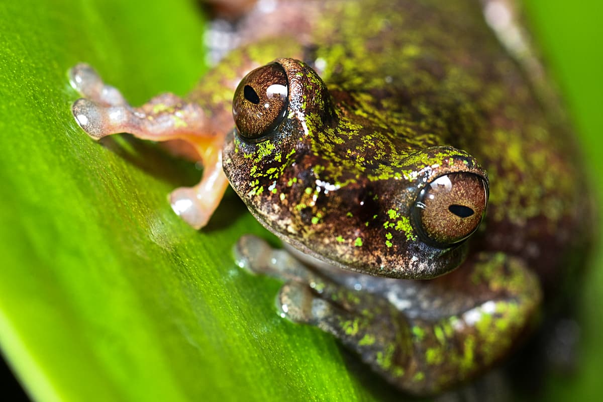 Ciencia