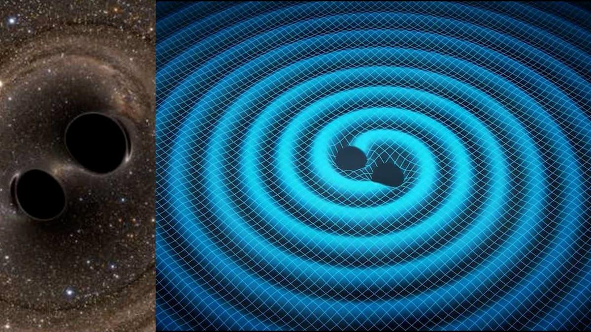 Ciencia