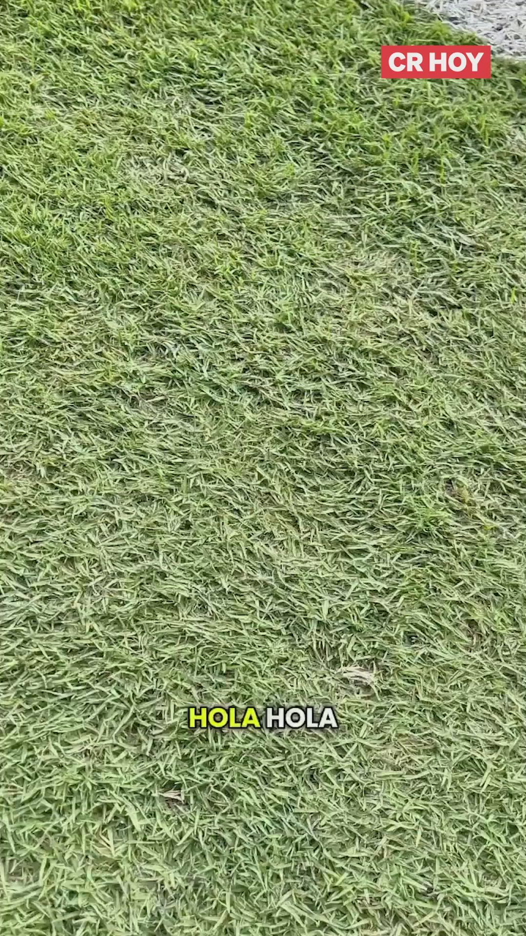 video-0-6b35hd