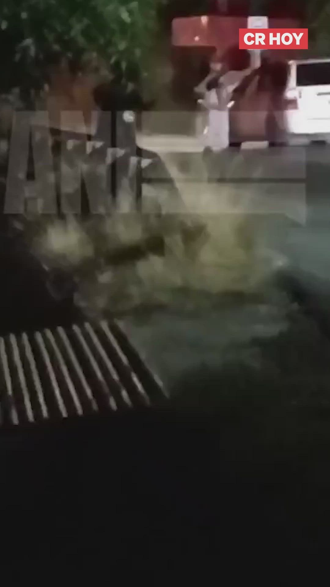 video-0-djc9m