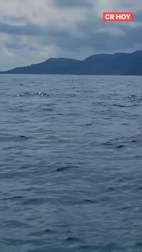 video-0-n6r38s