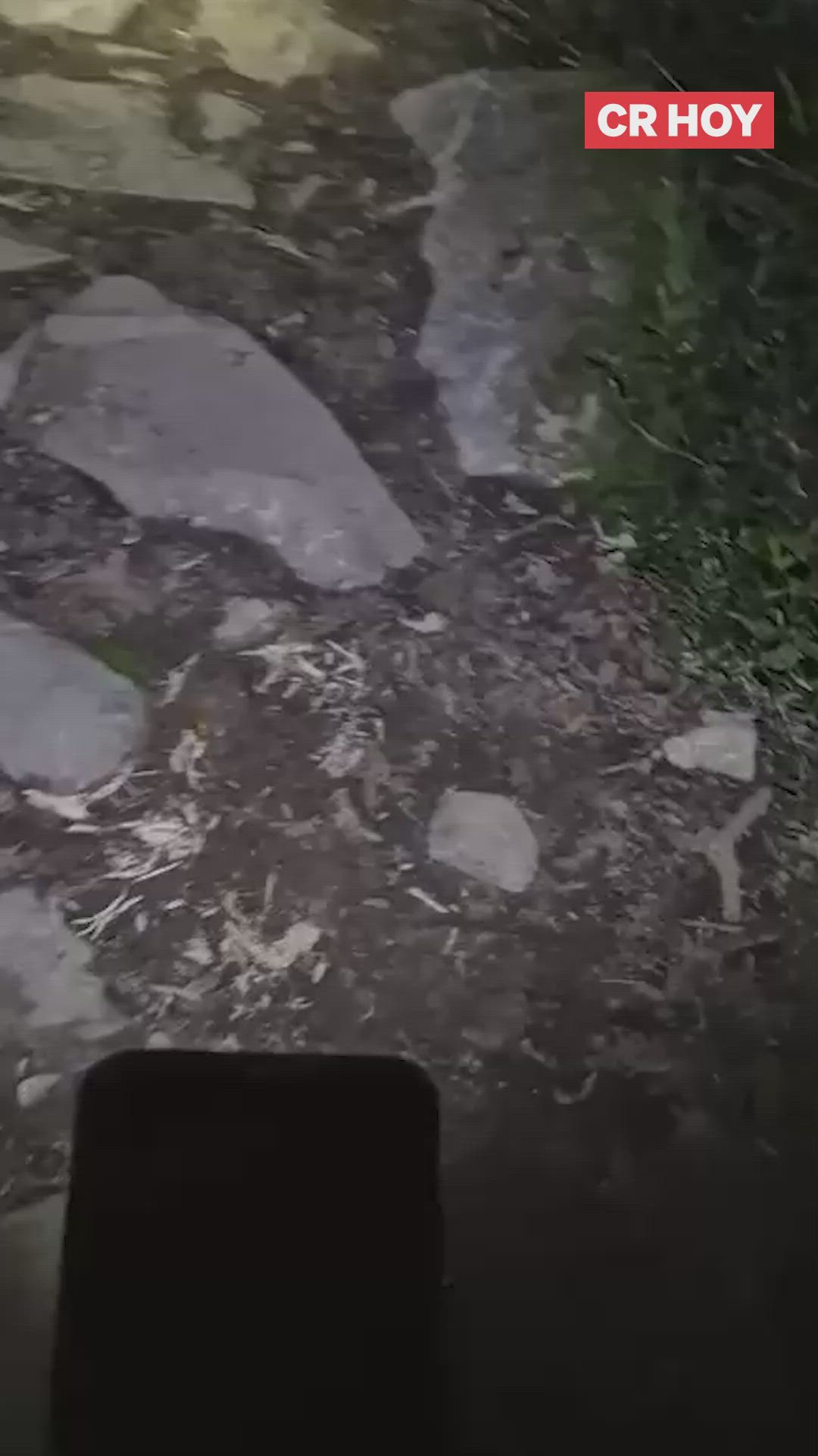 video-0-uzazm