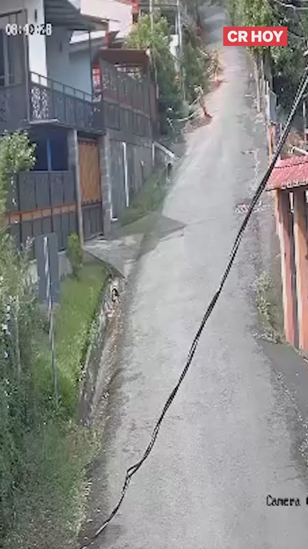 video-0-r4kklq