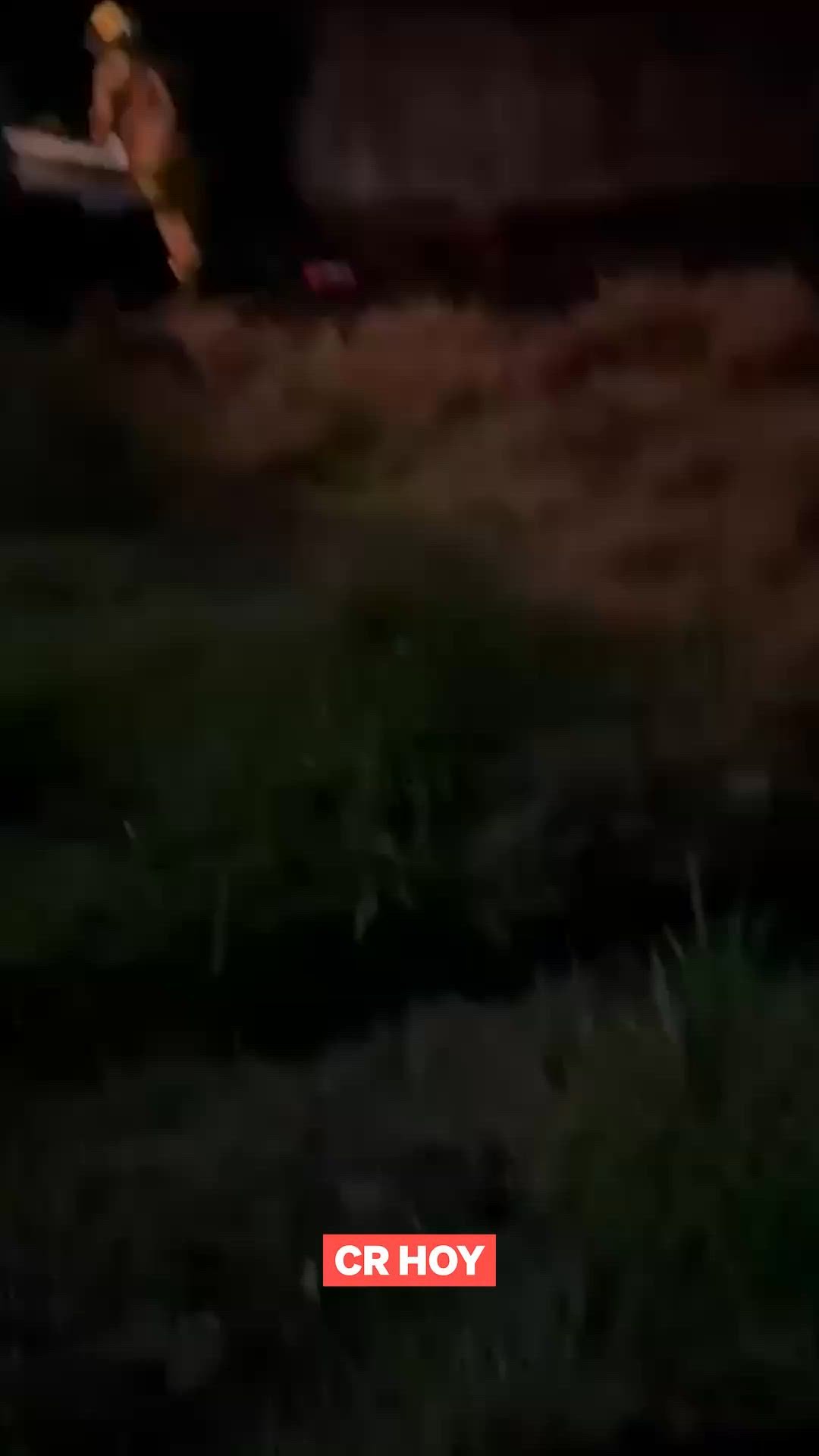 video-0-dde3h6