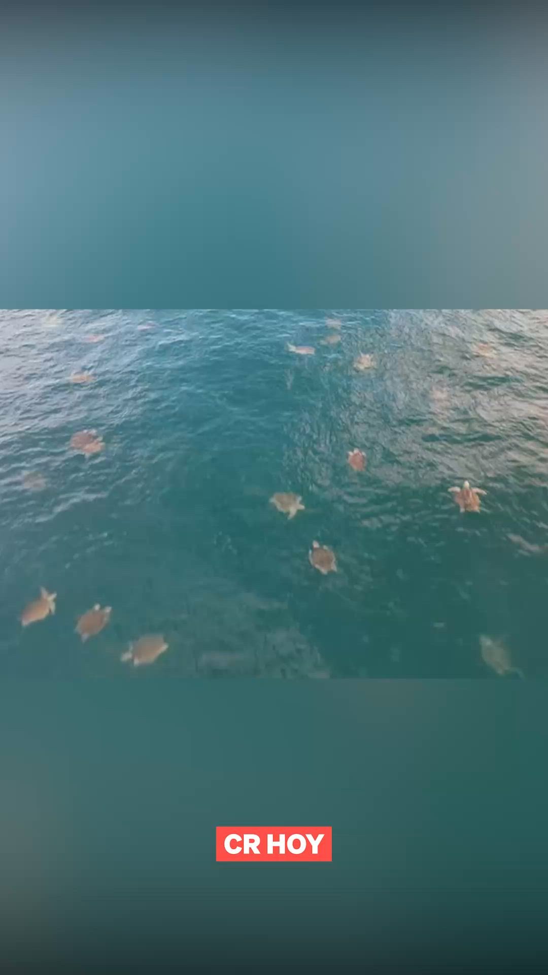 video-0-sxm5fc