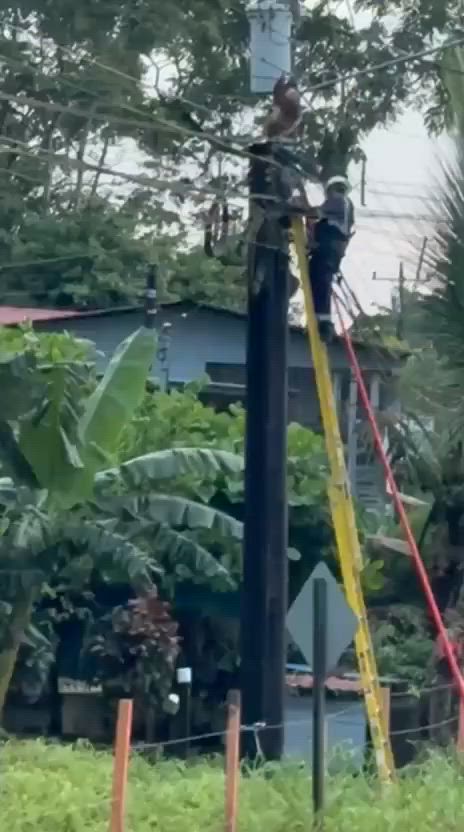 video-0-xk1fe