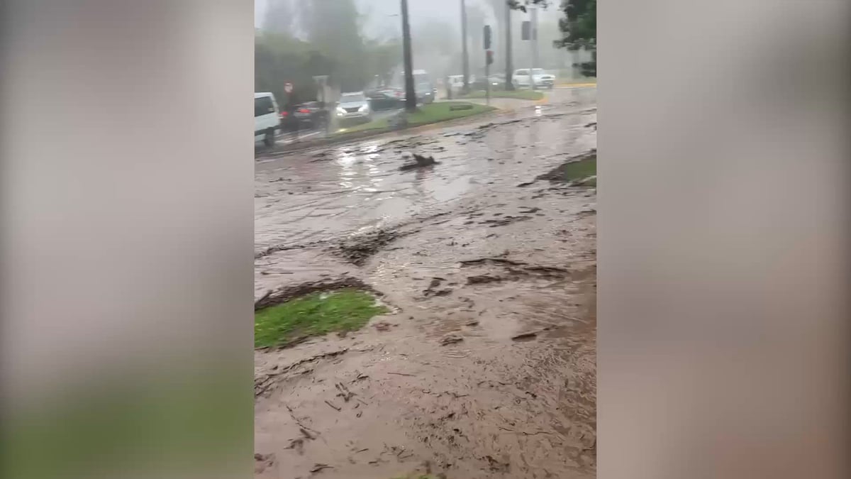 Aluvión arrastra bus y vehículos en Chile