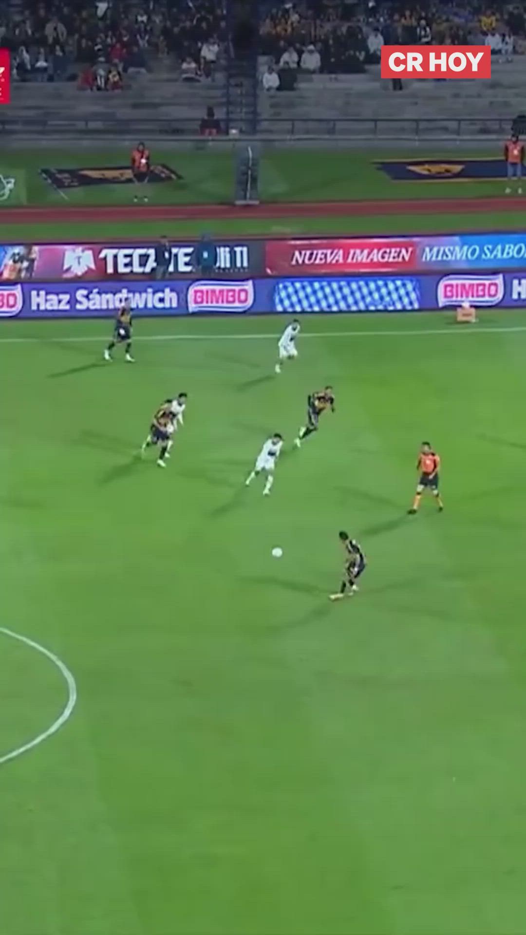 video-0-rb8i1
