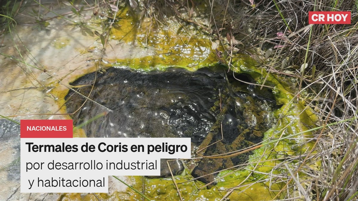 video-0-4b8l0g