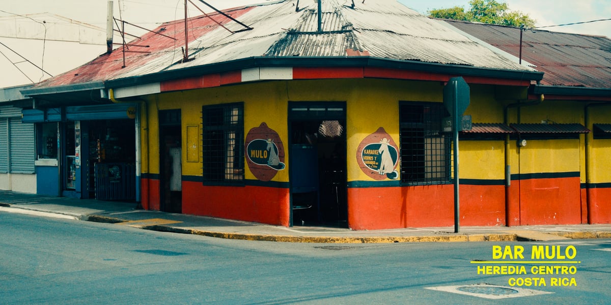 Bar Mulo