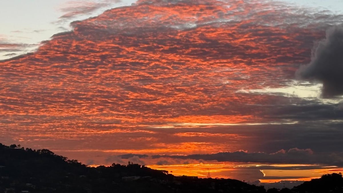 Foto del día