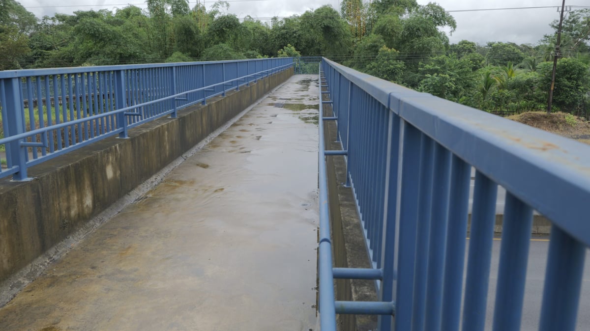 Dos empresas ofertan hasta $5,3 millones por 6 puentes peatonales en ruta 32