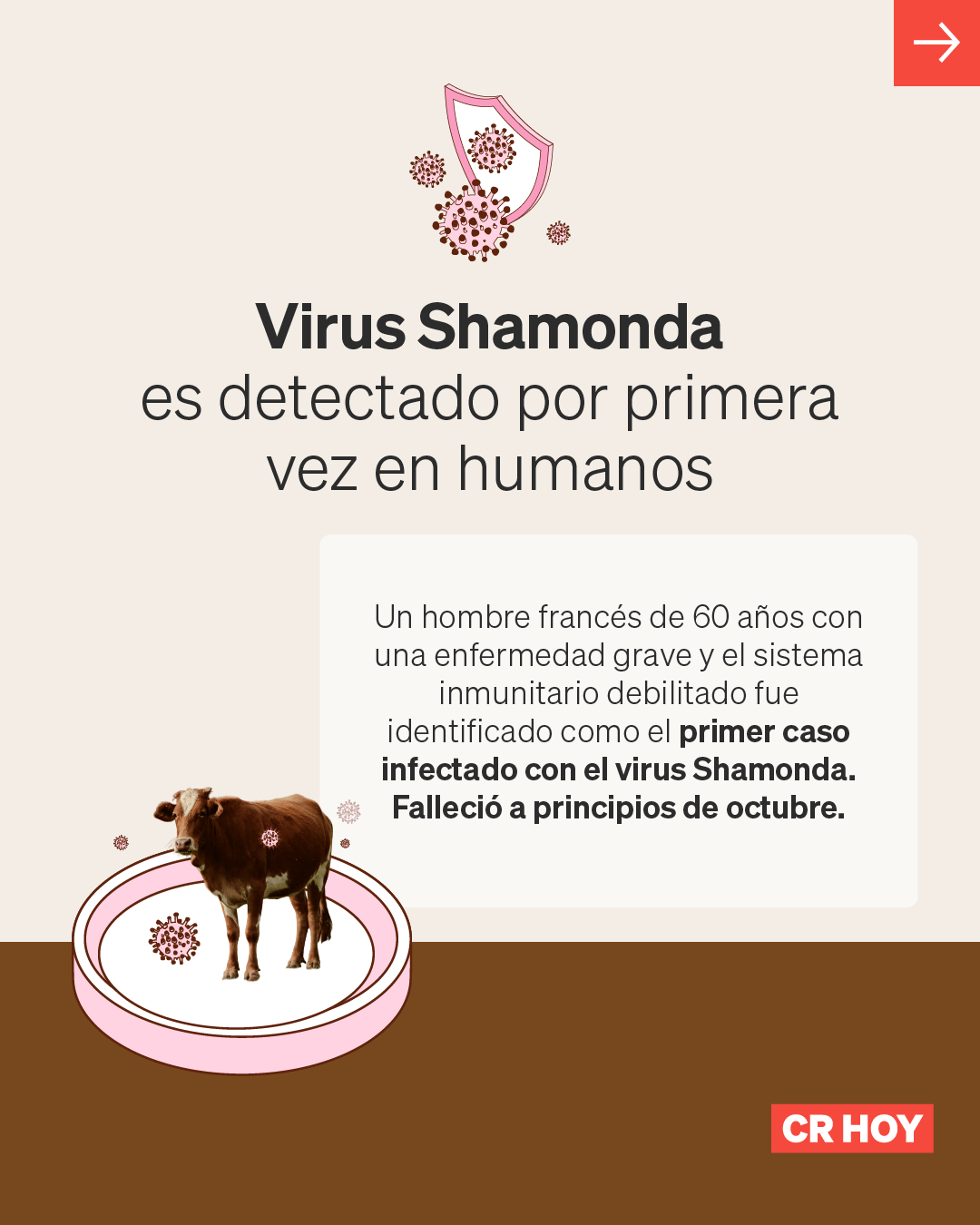 Virus Shamonda: ¿qué se sabe del primer caso humano detectado en Francia?