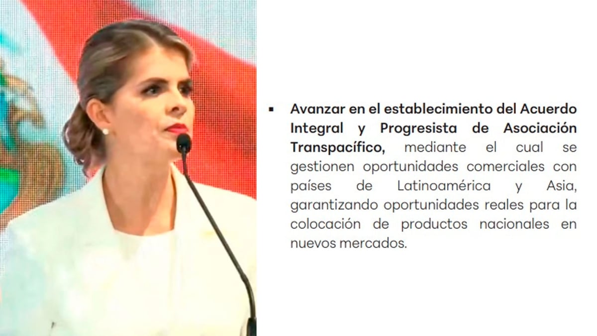 Plan de gobierno de Fernández planteaba avanzar con adhesión al Acuerdo Transpacífico