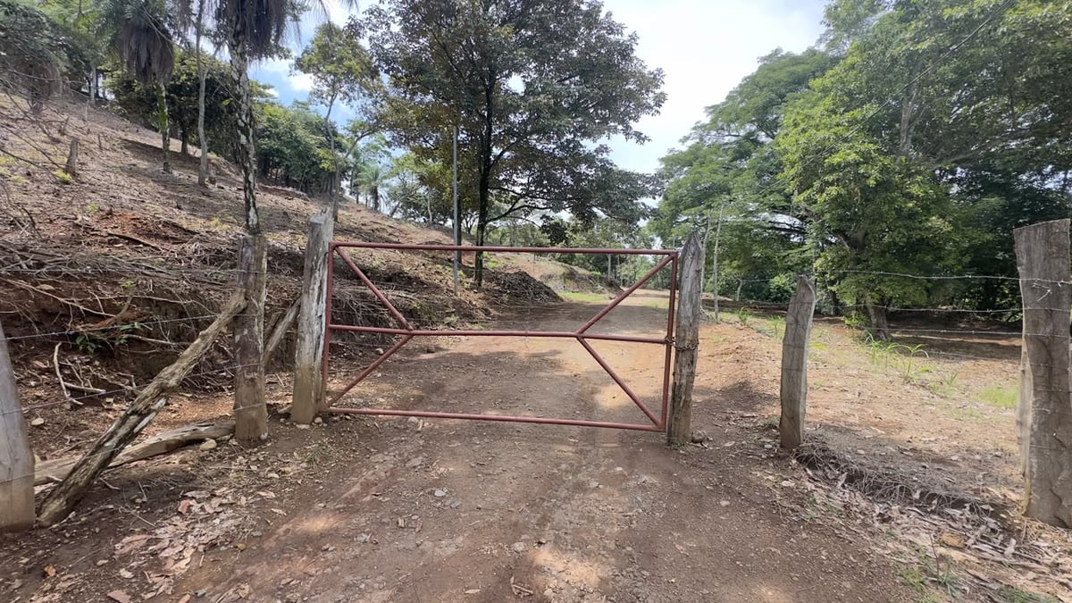 Así es el terreno donde se quiere construir un relleno sanitario en Mora