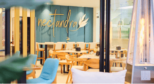 Nectandra