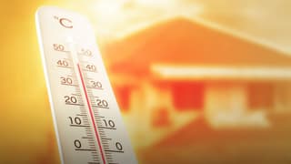 Alemania reporta 14.000 muertes vinculadas al calor este verano y supera récord