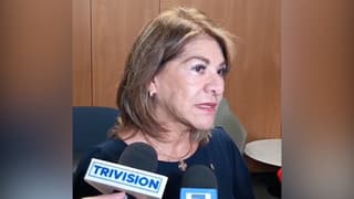 Patricia Solano llama a Poderes a unir fuerzas contra crimen organizado