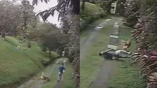 (Video) Perro “atropella” a periodista Johnny López y lo hace caer