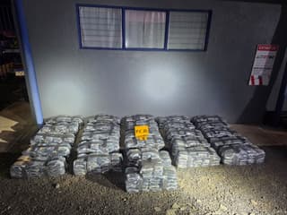 Marihuana decomisada