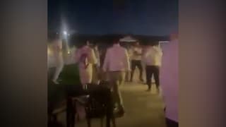 (Video) Técnico de Egipto se desmaya durante pelea entre sus dos esposas
