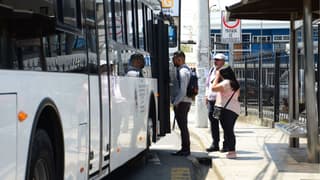 Buses