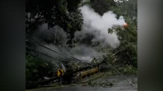 caída de árbol sobre puente La Fortuna