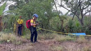 Hombre muere al caer de un árbol en Pavas