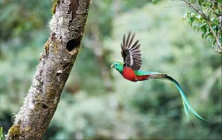 National Geographic describe a Costa Rica como “Tesoro de la Naturaleza”