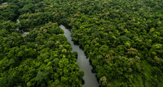 Colombia y Brasil concentran más de la mitad de asesinatos de defensores ambientales