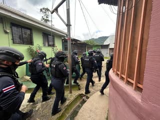 Operativo realizado por la PCD. Cortesía: MSP.