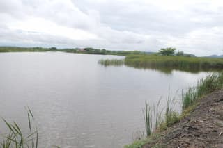 En el Tempisque, mantener agua en los humedales es un trabajo que vuelve a empezar cada año