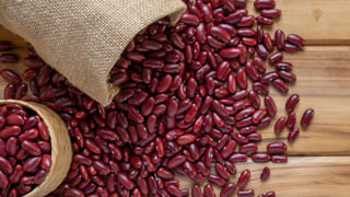 Así puede conservar sus frijoles cocinados por hasta seis meses sin que se dañen