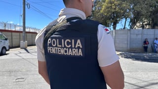 Atienden a 30 privados de libertad por ataque de abejas en Tres Ríos