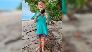 Familia afirma haber encontrado un diente de megalodón en Santa Teresa