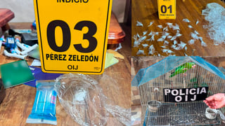 Decomisan tortuga, perico y drogas a sospechosos de narcomenudeo