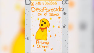 (Video) Niña dibujó a su perro perdido tras terremoto en Colombia y logró encontrarlo