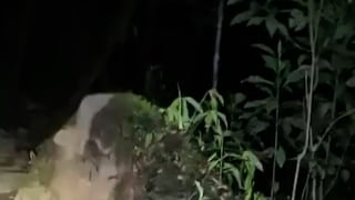 (Video) Continúa búsqueda de hombre desaparecido desde el lunes en el Chirripó