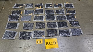 Decomisan 50 kilos de cocaína ocultos en contenedores que iban para Europa