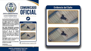 Lanzan explosivo contra gimnasio del Liceo Ciudad Neily
