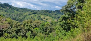 Finca Roga. Foto proporcionada por Edgar Atencio.