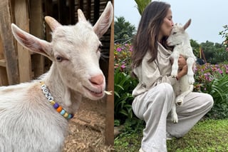 “Te llevaste una parte de mi corazón”: Gipzy Montoya perdió a su cabrito