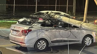 (Fotos) Caída de poste genera caos vial en Curridabat