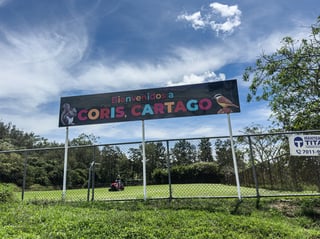 Coris urge apoyo para Festival de Aves que busca proteger su humedal