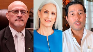 Diputados piden respetar libertad de expresión ante proceso contra piloto