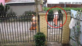(Video) Detienen a hija de mujer que atacó a machetazos a adulta mayor