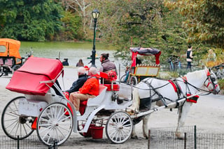 Nueva York prohibirá los carruajes tirados por caballos en Central Park