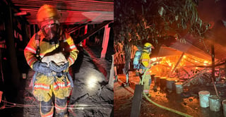 Bomberos rescatan a 22 cerdos de un incendio en un corral