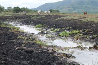 Corredor Seco: dos países, una misma batalla por conservar el agua ante El Niño y el cambio climático